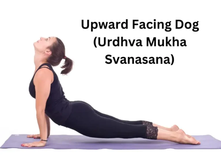 Upward Facing Dog (Urdhva Mukha Svanasana)