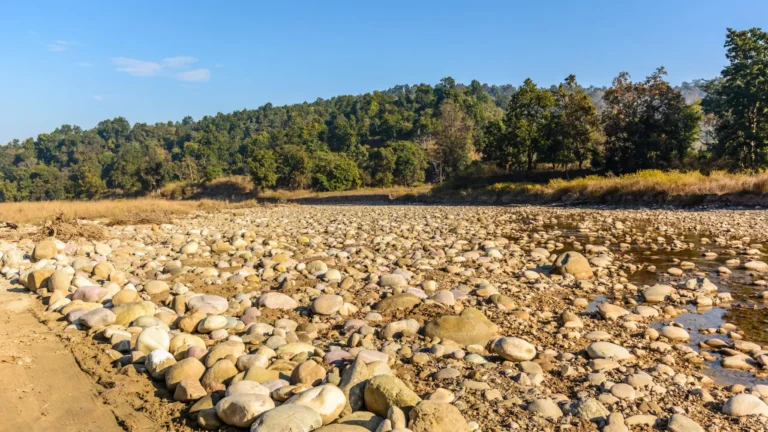 What is the entry time for Rajaji National Park